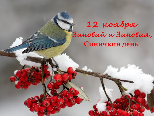 Проект &amp;quot;Синичкины именины&amp;#039;.
